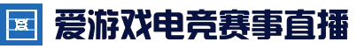 爱游戏在线娱乐 - 足球篮球电竞竞猜
