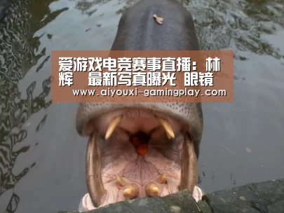 爱游戏在线娱乐