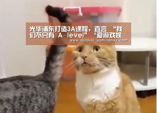 爱游戏娱乐APP
