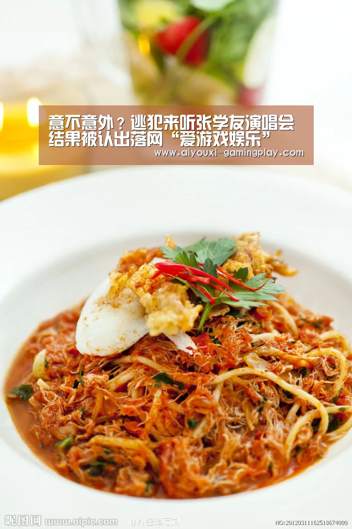 意不意外?逃犯来听张学友演唱会 结果被认出落网“爱游戏娱乐”(图3) 爱游戏娱乐