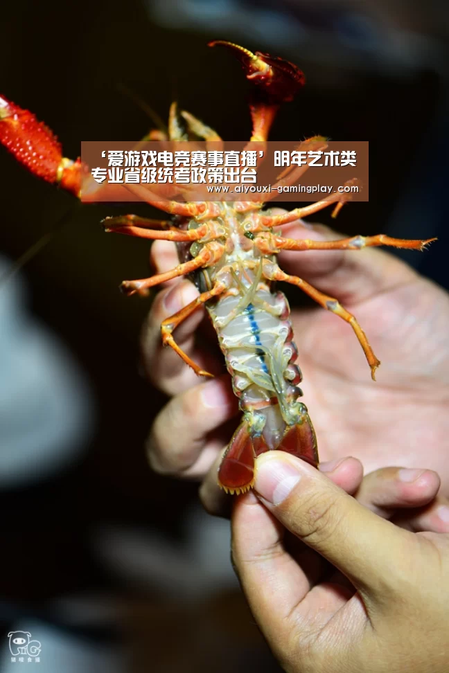 ‘爱游戏电竞赛事直播’明年艺术类专业省级统考政策出台(图2) 爱游戏娱乐