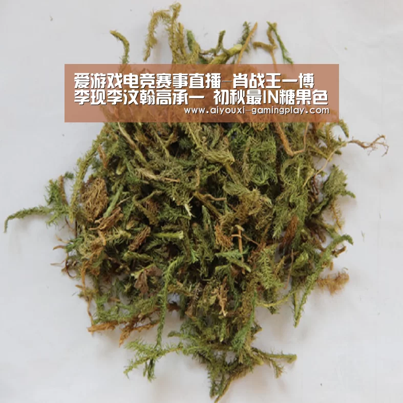 爱游戏电竞赛事直播-肖战王一博李现李汶翰高承一 初秋最IN糖果色西装合集你pick哪一个(图3) 爱游戏娱乐APP